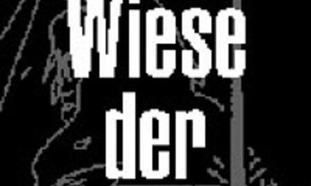 Galerie Foto