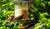 Hintergrund