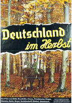 Foto im Vollbild