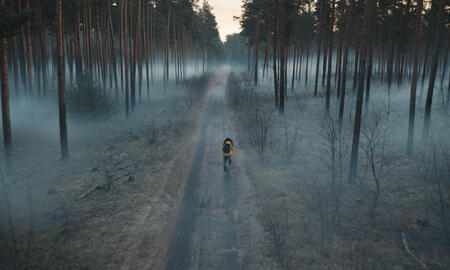 Galerie Foto