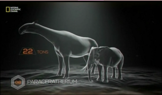 Top 10 Biggest Beasts Ever