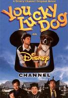 Lucky, der reichste Hund der Welt