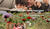 Hintergrund