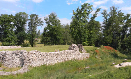 Galerie Foto