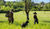 Hintergrund