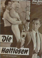 Foto im Vollbild