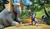 Hintergrund