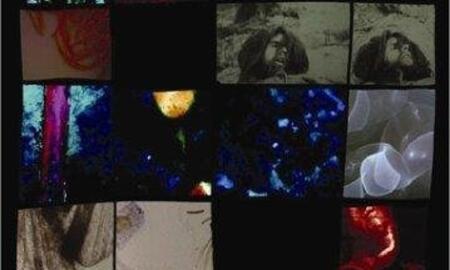 Galerie Foto