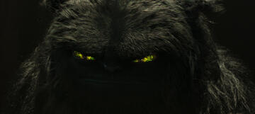 Foto im Vollbild