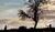 Hintergrund