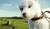 Hintergrund