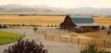 Bild zu:  Beths und Rips neue Dutton Ranch