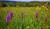 Hintergrund