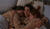 Hintergrund