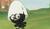 Hintergrund