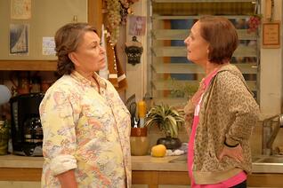 Staffel 1 von Roseanne Revival