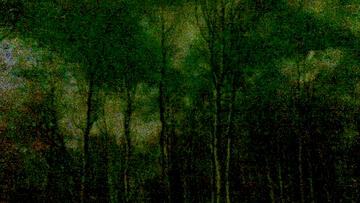 Foto im Vollbild