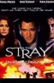 The Stray - Der Racheengel