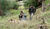 Hintergrund