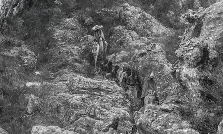 Galerie Foto