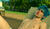 Hintergrund