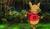 Hintergrund