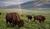Hintergrund
