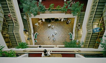 Galerie Foto