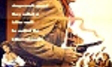 Galerie Foto