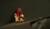 Hintergrund