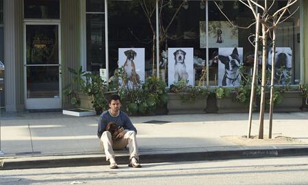 Galerie Foto