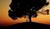 Hintergrund
