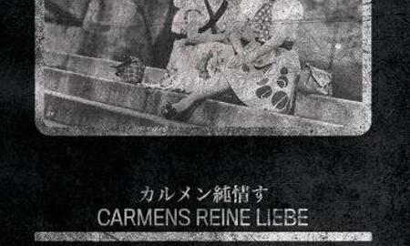 Galerie Foto
