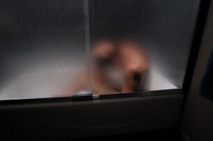 Foto im Vollbild