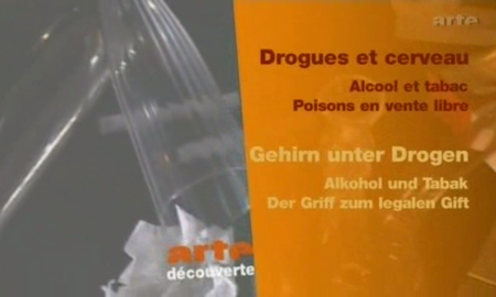 Galerie Foto