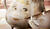 Hintergrund