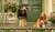 Hintergrund