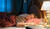 Hintergrund