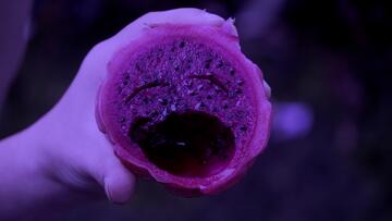 Foto im Vollbild