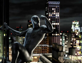 Foto im Vollbild