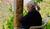 Hintergrund