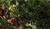 Hintergrund
