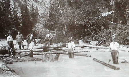 Galerie Foto