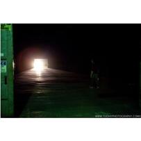 Foto im Vollbild