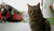 Hintergrund