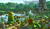 Hintergrund