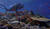 Hintergrund