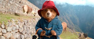 Paddington in Peru