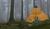 Hintergrund