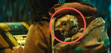 Bild zu:  Jurassic World 4: Die Wiedergeburt